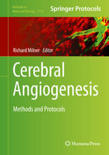 Cerebral Angiogenesis Methods And Protocols 1st Edition Richard Milner Eds