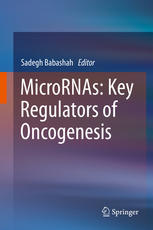 Micrornas Key Regulators Of Oncogenesis 1st Edition Sadegh Babashah Eds