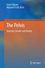 The Pelvis Structure Gender And Society 1st Edition Enrico Marani
