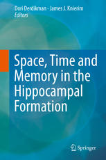 Spacetime And Memory In The Hippocampal Formation 1st Edition Dori Derdikman