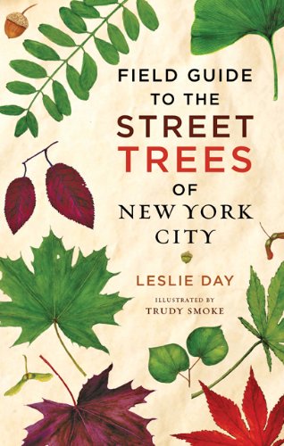 Field Guide To The Street Trees Of New York City 1st Edition Leslie Day