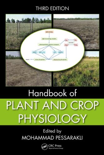 Handbook Of Plant And Crop Physiology Third Edition 3rd Edition Mohammad Pessarakli