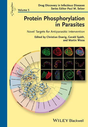 Protein Phosphorylation In Parasites Novel Targets For Antiparasitic Intervention 1st Christian Doerig