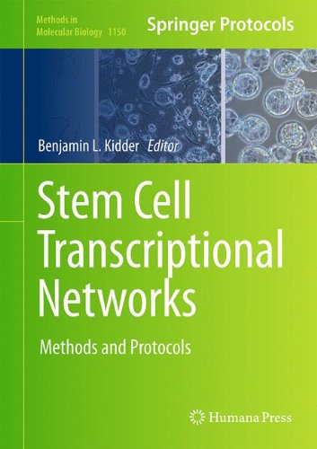 Stem Cell Transcriptional Networks Methods And Protocols 1st Edition Benjamin L Kidder Eds