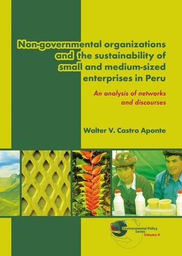 Nongovernmental Organizations And The Sustainability Of Small And Mediumsized Enterprises In Peru An Analysis Of Networks And Discourses Walter V Castro Aponte