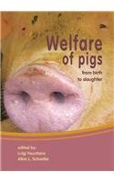 Welfare Of Pigs From Birth To Slaughter 1st Edition Luigi Faucitano
