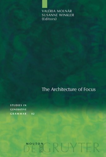 Architecture Of Focus Valéria Molnár Susanne Winkler