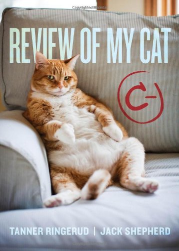 Review Of My Cat Jack Shepherd Tanner Ringerud