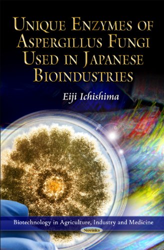 Unique Enzymes Of Aspergillus Fungi Used In Japanese Bioindustries 1st Edition Eiji Ichishima