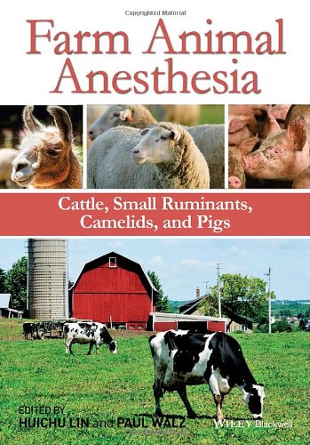 Farm Animal Anesthesia Cattle Small Ruminants Camelids And Pigs 1st Edition Huichu Lin