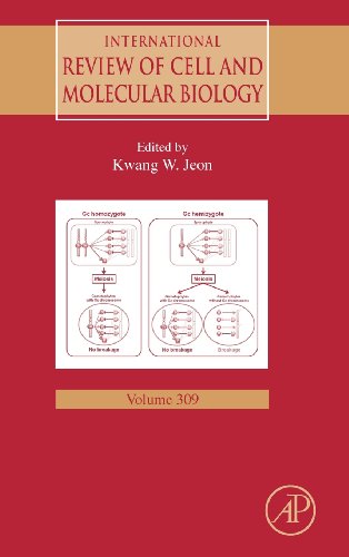 International Review Of Cell And Molecular Biology 309 1st Edition Kwang W Jeon Eds