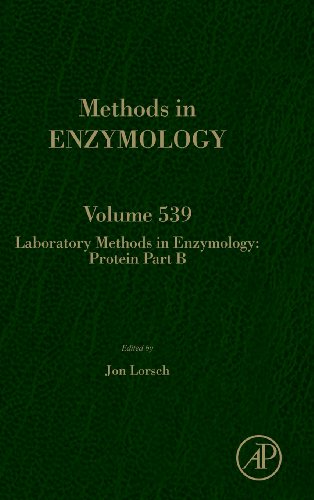 Laboratory Methods In Enzymology Protein Part B 1st Edition Jon Lorsch Eds