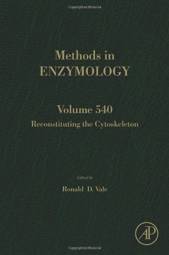 Reconstituting The Cytoskeleton 1st Edition Ronald D Vale