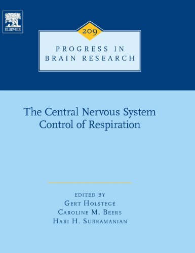 The Central Nervous System Control Of Respiration 1st Edition Gert Holstege