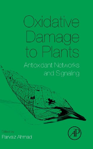 Oxidative Damage To Plants Antioxidant Networks And Signaling 1st Edition Parvaiz Ahmad Eds