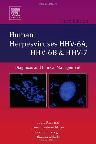 Human Herpesviruses Hhv6a Hhv6b Hhv7 Diagnosis And Clinical Management 3rd Edition Louis Flamand