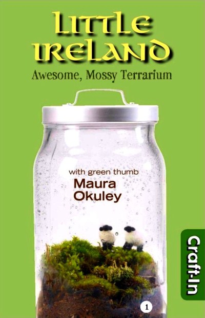 Little Ireland Awesome Mossy Terrarium 1st Maura Okuley