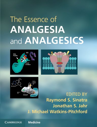 The Essence Of Analgesia And Analgesics 1st Edition Raymond S Sinatra