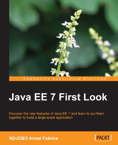 Java Ee 7 First Look Ndjobo Armel Fabrice