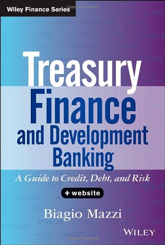 Treasury Finance And Development Banking A Guide To Credit Debt And Risk 1st Biagio Mazzi