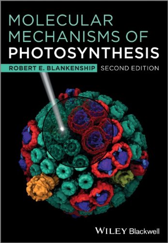 Molecular Mechanisms Of Photosynthesis 2nd Edition Robert E Blankenship