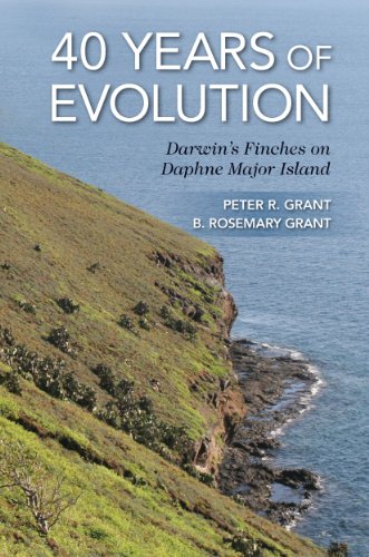 40 Years Of Evolution Darwins Finches On Daphne Major Island Peter R Grant