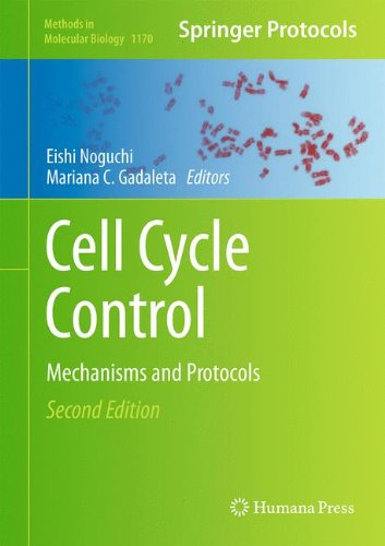 Cell Cycle Control Mechanisms And Protocols 1st Edition Eishi Noguchi