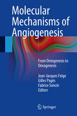 Molecular Mechanisms Of Angiogenesis From Ontogenesis To Oncogenesis 1st Edition Jeanjacques Feige