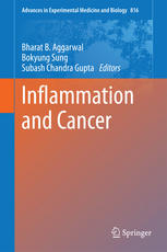 Inflammation And Cancer 1st Edition Bharat B Aggarwal Bokyung Sung