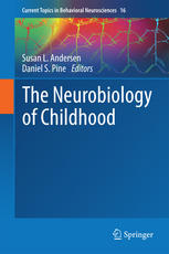 The Neurobiology Of Childhood 1st Edition Susan L Andersen Daniel S Pine Eds