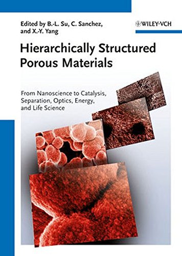 Hierarchically Structured Porous Materials From Nanoscience To Catalysis Separation Optics Energy And Life Science 2nd Ed Baolian Su