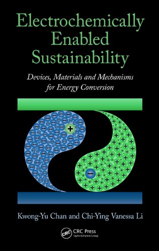 Electrochemically Enabled Sustainability Devices Materials And Mechanisms For Energy Conversion Kwongyu Chan