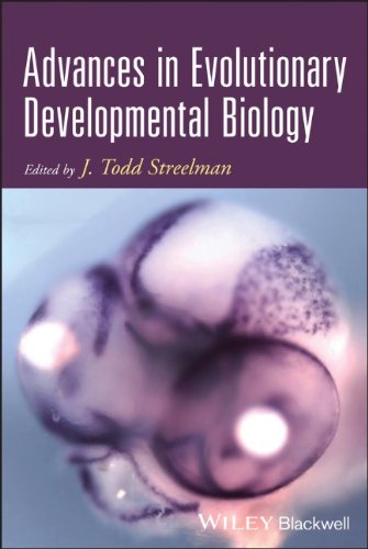 Advances In Evolutionary Developmental Biology 1st Edition J Todd Streelman