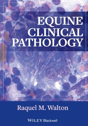 Equine Clinical Pathology 1st Edition Raquel M Walton