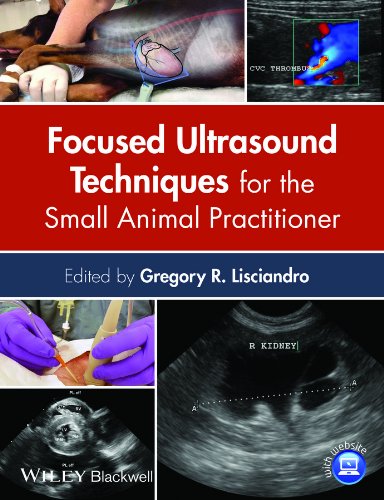 Focused Ultrasound Techniques For The Small Animal Practitioner 1st Edition Gregory R Lisciandro