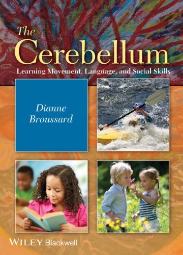 The Cerebellum Learning Movement Language And Social Skills 1st Edition Dianne M Broussardauth