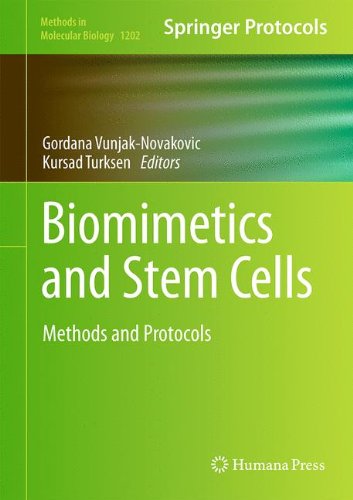 Biomimetics And Stem Cells Methods And Protocols 1st Edition Gordana Vunjaknovakovic