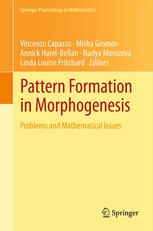 Pattern Formation In Morphogenesis Problems And Mathematical Issues 1st Edition Misha Gromov Auth