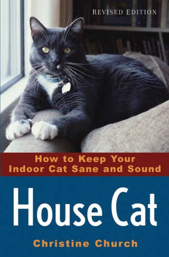House Cat How To Keep Your Indoor Cat Sane And Sound Christine Church