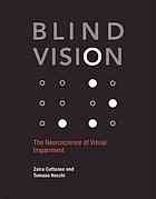 Blind Vision The Neuroscience Of Visual Impairment Zaira Cattaneo Tomaso Vecchi