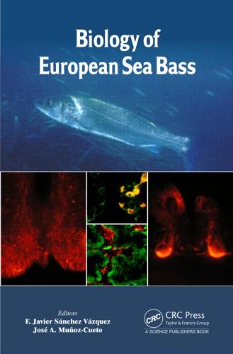 Biology Of European Sea Bass F Javier Snchez Vzquez Jos A Muozcueto