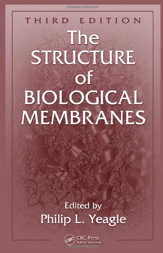 The Structure Of Biological Membranes 3rd Philip L Yeagle