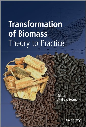 Transformation Of Biomass Theory To Practice 1st Edition Andreas Hornung