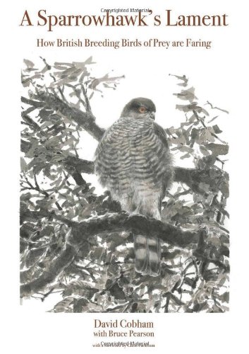 A Sparrowhawks Lament How British Breeding Birds Of Prey Are Faring David Cobham