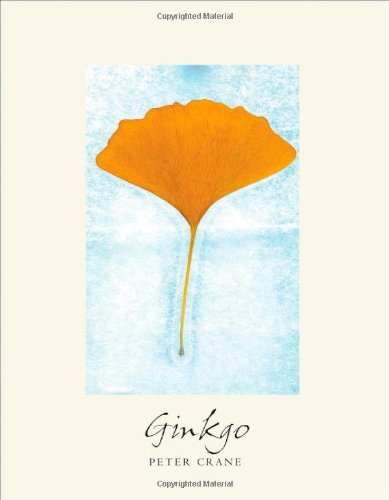 Ginkgo The Tree That Time Forgot Peter Crane Pollyanna Von Knorring