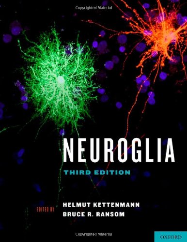 Neuroglia 3rd Edition Bruce R Ransom Helmut Kettenmann
