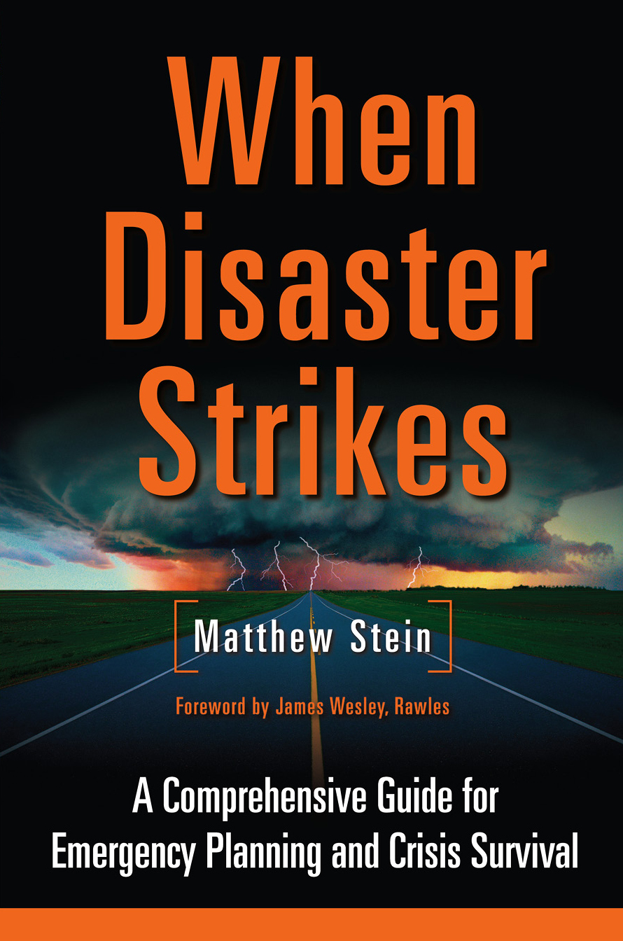 When Disaster Strikes A Comprehensive Guide For Emergency Planning And Crisis Matthew Stein