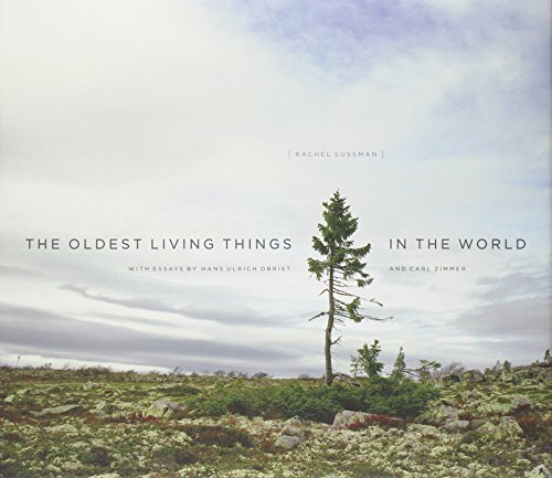 The Oldest Living Things In The World Rachel Sussman Carl Zimmer