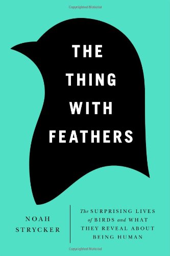 The Thing With Feathers The Surprising Lives Of Birds And What They Reveal About Being Human First Edition Noah Strycker