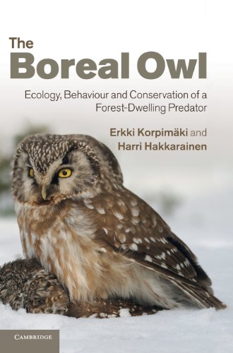 The Boreal Owl Ecology Behaviour And Conservation Of A Forestdwelling Predator Erkki Korpimki